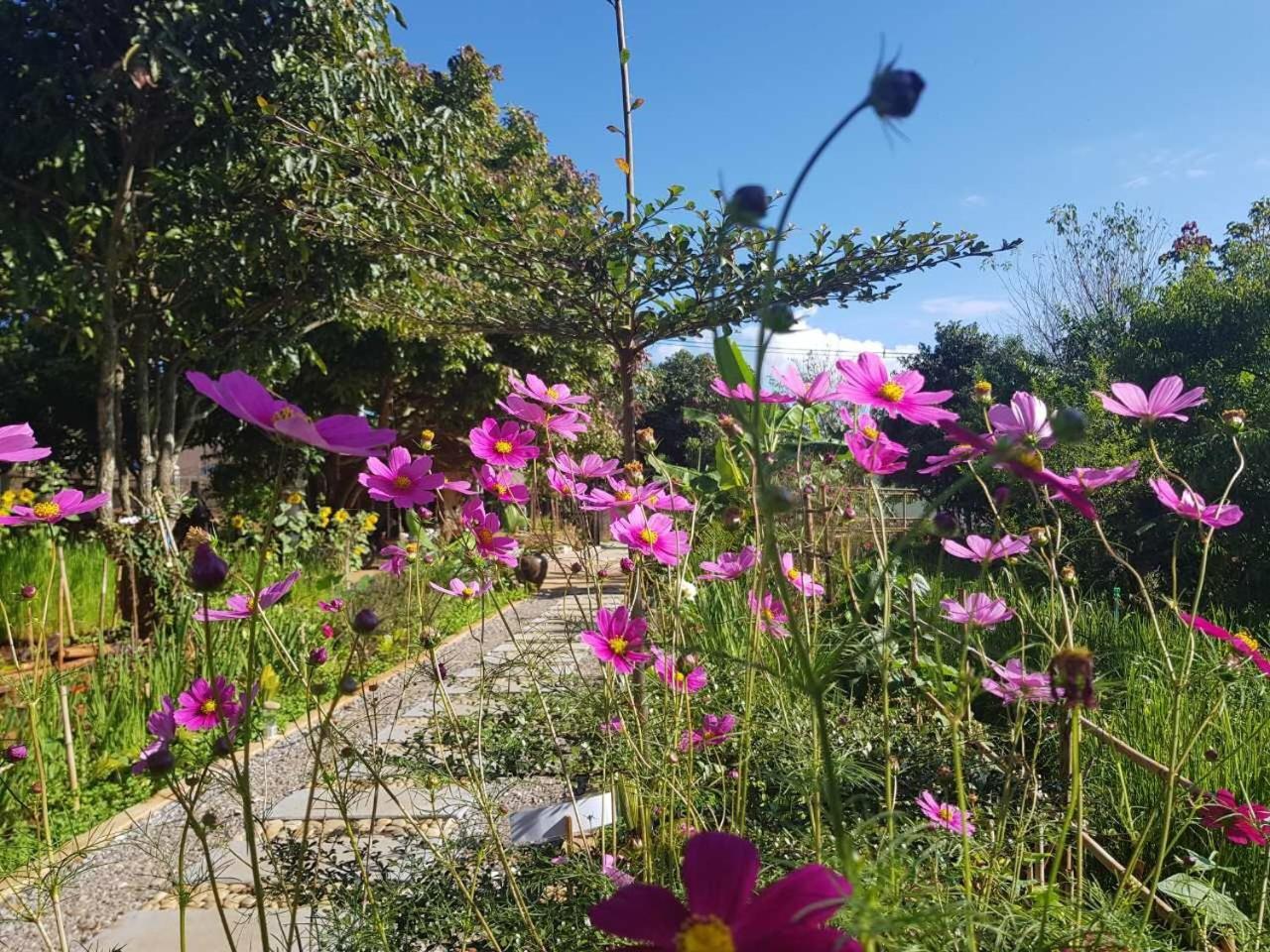 Cottage House Pindaya Dış mekan fotoğraf